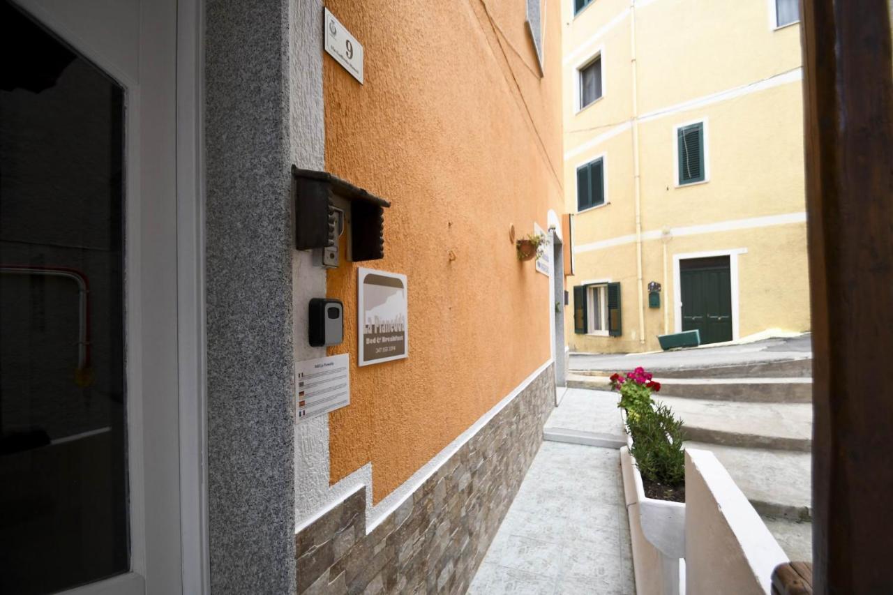 Bed and breakfast La Pianedda *